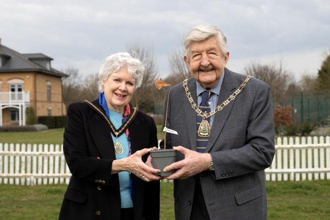 The Mayor of Bromley holding the first of the Platinum Jubilee trees