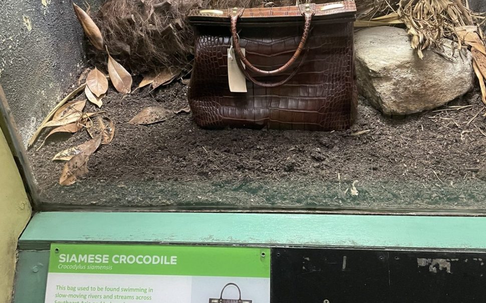 Crocodile handbag in London zoo