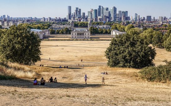 Greenwich Park scorched in the heatwave
