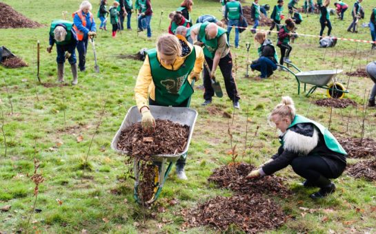 Young people take part in a tree-planting day. One person can be seen with a wheelbarrow, the other digging a hole in the ground.