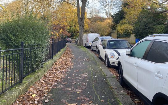 Image of road in Dulwich Wood with cars parked all along it.