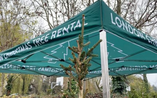 The entrance to the London Christmas Tree Rental in Dulwich: a green gazebo with the London Christmas Tree Rental written on it in white