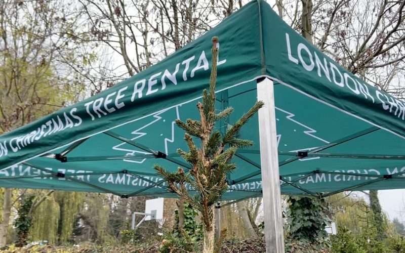The entrance to the London Christmas Tree Rental in Dulwich: a green gazebo with the London Christmas Tree Rental written on it in white