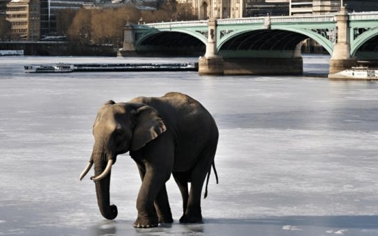 An elephant walking across the Thames next to Blackfriars Bridge.