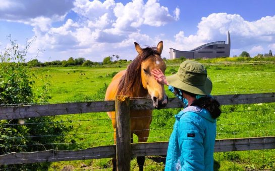 An image of a woman petting a horse