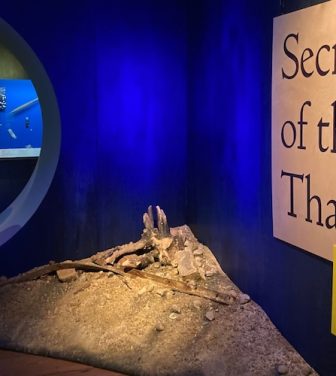'The Secrets of Thames" exhibition is open until March 2026 at the London Museum Docklands