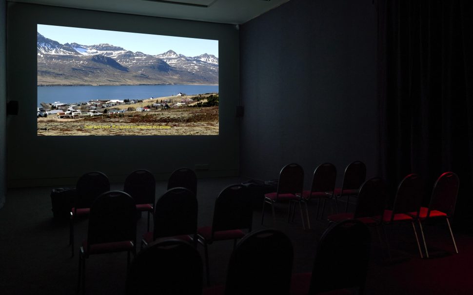 An empty cinema, at Southwark Park Galleries showcasing the film Wild Geese 2: Wilder Geese by Elinor O'Donovan on screen.