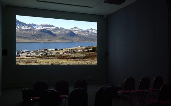An empty cinema, at Southwark Park Galleries showcasing the film Wild Geese 2: Wilder Geese by Elinor O'Donovan on screen.