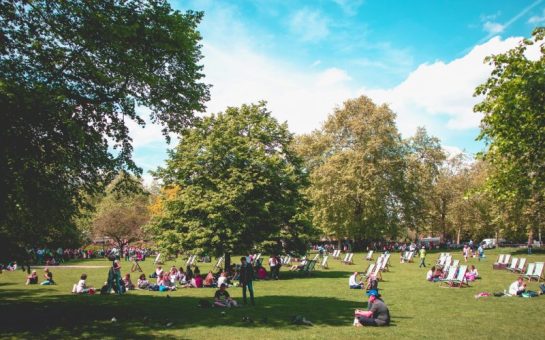 Green park with people