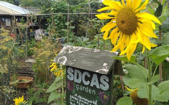 The picture shows a communal garden belonging to the Southwark Day Centre for Asylum Seekers.