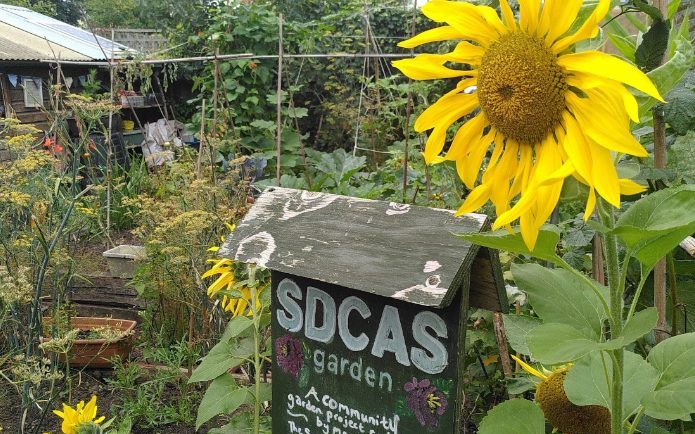 The picture shows a communal garden belonging to the Southwark Day Centre for Asylum Seekers.