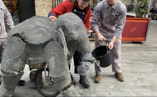 An elephant puppet eats out of a bucket as it is led by three puppeteers along a street.