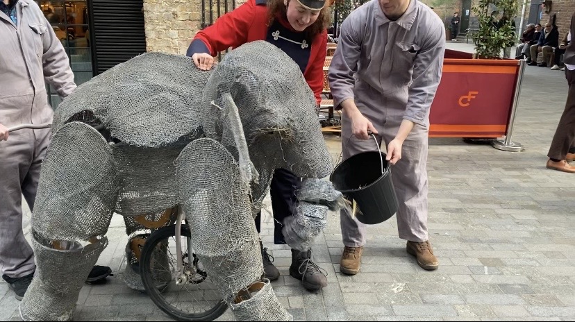 An elephant puppet eats out of a bucket as it is led by three puppeteers along a street.