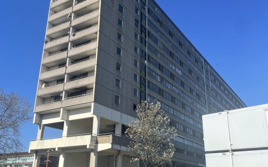 One of the last remaining Aylesbury Estate tower blocks (Credit: Ava Scott-Nadal)